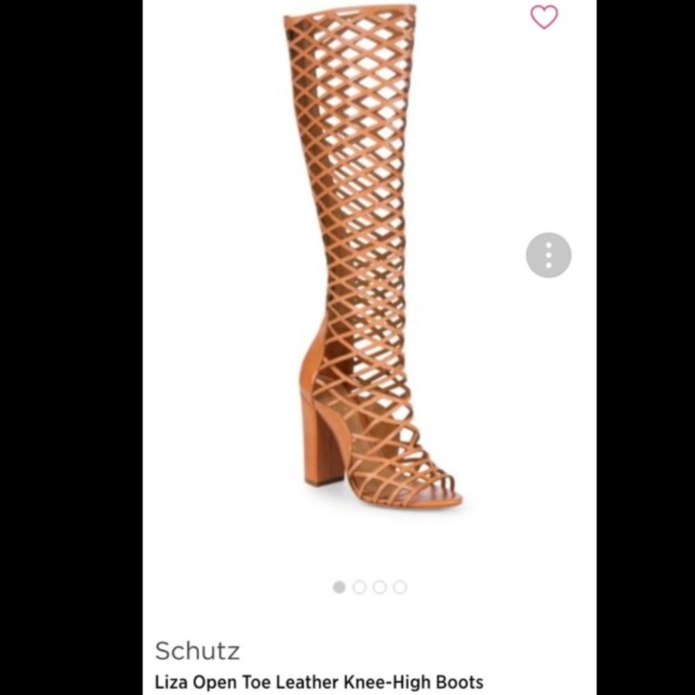 Schutz Boots